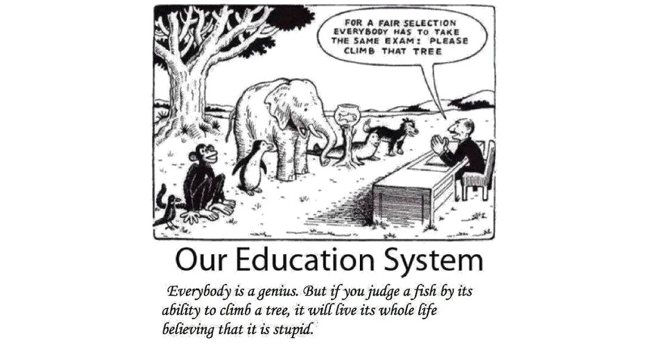 Albertson’s Foundations Education Blunder