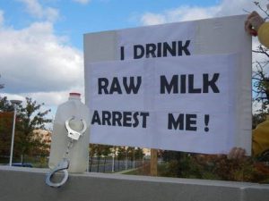 raw_milk