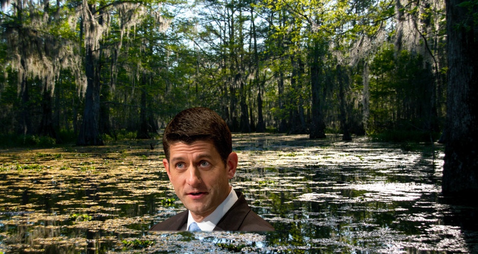 Swamp Osmosis