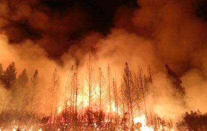 California’s fires not climate California’s fires not climate