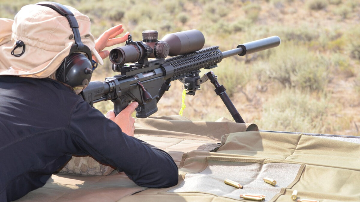 Labrador Letter: Winning Back Ground on the Second Amendment